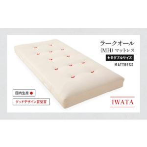ふるさと納税 IWATA ラークオール(MH) ...の商品画像