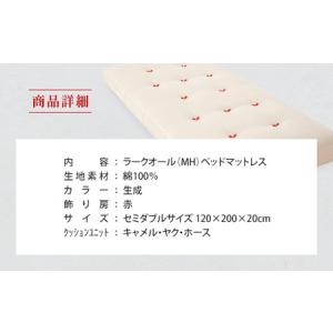 ふるさと納税 IWATA ラークオール(MH)...の詳細画像1
