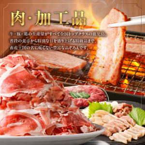ふるさと納税 コンシェルジュプラン 寄付額 2...の詳細画像2