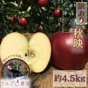 【訳あり】秋映 約4.5kg 12-23玉 10月初旬から発送予定 葉とらず栽培信州りんご 家庭用 送料無料 減農薬 長野県産 産地直送 #NAA0B045