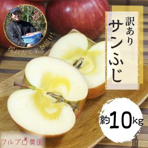 青森りんご☆送料無料☆贈答用サンふじ3キロ8〜11玉 発送は11月30日頃