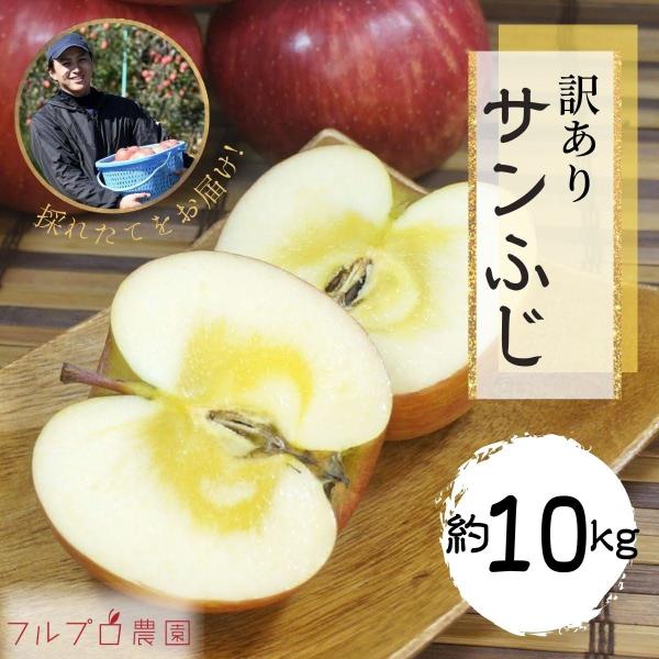 【訳あり】サンふじ 約10kg(26-40玉)  定番のりんご 11月発送 家庭用 減農薬 長野県産...