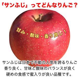 【訳あり】サンふじ 約10kg(26-40玉)...の詳細画像1