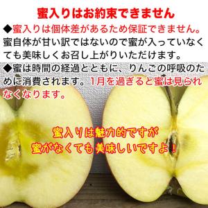 【訳あり】サンふじ 約10kg(26-40玉)...の詳細画像3