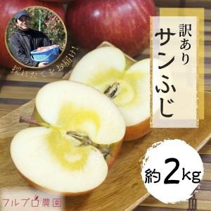 訳あり】サンふじ 約10kg(26-40玉) 定番のりんご 11月発送 家庭用 減