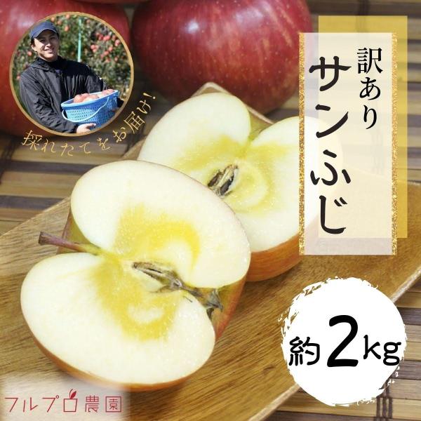 【訳あり】サンふじ 約2kg(5-10玉) 定番のりんご 11月から発送 家庭用 減農薬 葉とらず ...