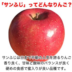 【訳あり】サンふじ 約2kg(5-10玉) 定...の詳細画像1