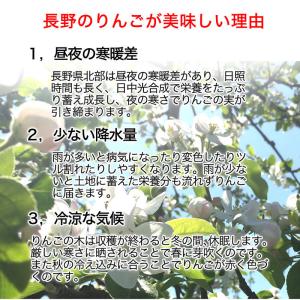【訳あり】サンふじ 約2kg(5-10玉) 定...の詳細画像5