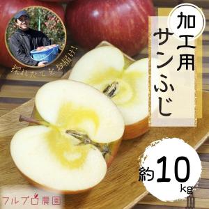 【加工用】サンふじ 約10kg(24-56玉)  定番のりんご 11月下旬頃から発送 葉とらず 信州りんご 減農薬 長野県産 産地直送 送料無料 #NAF0K100
