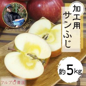 【加工用】サンふじ 約5kg(12-28玉)  定番のりんご 減農薬 長野県産  送料無料 #NAF0K050