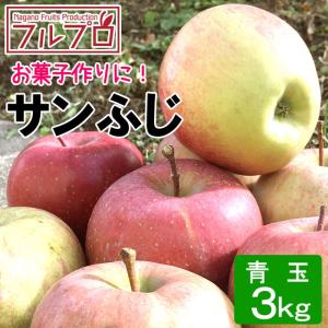 加工用 青玉 りんご サンふじ 約3キロ 6〜17玉 加熱用 訳あり 蜜なし キズ・サビあり 等級E 3kg 送料無料 減農薬 長野県産 産地直送 信州りんご