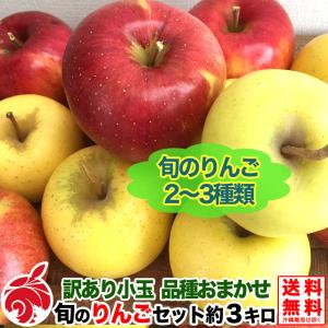 訳あり小玉 食べ比べ 旬のりんごセット 約2.5キロ 品種おまかせ 2〜3種類 12-16玉 葉とらず 減農薬 長野県産 産地直送 等級D 2.5kg 送料無料