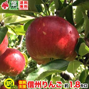【訳あり】信州りんご 約1.8kg およそ5-10玉 葉とらず 家庭用 復興支援 減農薬 長野県産 産地直送 #NAZ0B018