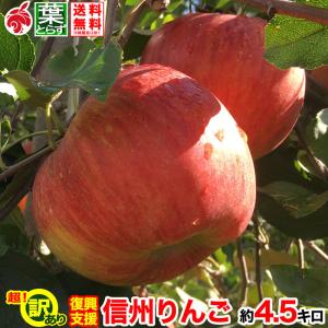 【超訳あり】信州りんご 約4.5kg およそ15-25玉  復興支援 減農薬 長野県産 産地直送 #NAZ0C045