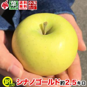 --【訳あり小玉】シナノゴールド 約2.5kg およそ12-16玉 家庭用 葉とらず 信州りんご 減農薬 長野県産 産地直送 送料無料 11月上旬より ＃NAG0E025