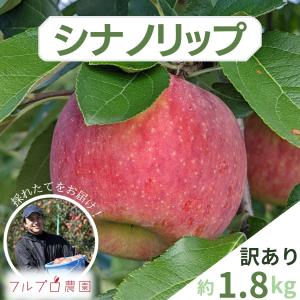【訳あり】シナノリップ 約1.8kg(5-10玉) 8月発送 家庭用 お試しサイズ 葉とらず栽培、信州りんご 減農薬 希少品種 送料無料 数量限定#NAR0B018