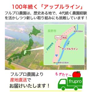 【訳あり】シナノリップ 約1.8kg(5-10...の詳細画像5