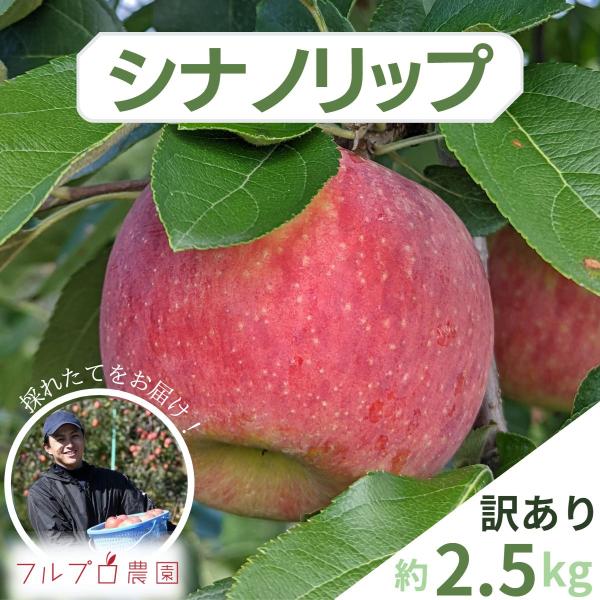 【訳あり】シナノリップ 約2.5kg(7-14玉) 8月発送 家庭用 葉とらず栽培、信州りんご  減...
