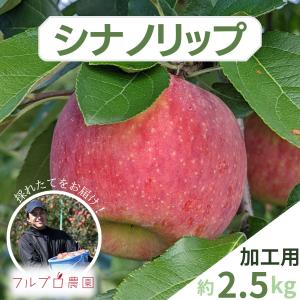 【加工用】シナノリップ 約2.5kg(7-16玉) 8月下旬発送予定 葉とらず栽培信州りんご 希少品種 減農薬 送料無料 数量限定 #NAR0K025