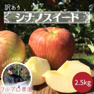 【訳あり】シナノスイート 約2.5kg(6-14玉) 10月中旬から発送予定 葉とらず栽培信州りんご 家庭用 送料無料 減農薬 長野県産 産地直送 #NAS0B025