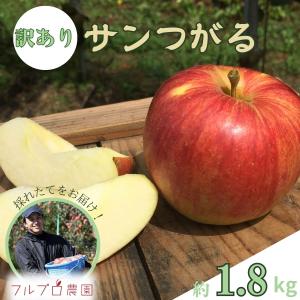 【訳あり】サンつがる 約1.8kg(5-10玉) 9月初旬頃発送予定 葉とらず信州りんご 家庭用 送料無料 減農薬 #NAT0B018｜furupuro
