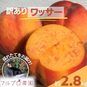 【訳あり】ワッサー 約2.5kg(5-14玉)  家庭用 8月上旬頃発送予定 酸味の効いた長野生まれの硬めの桃です#NPW0B025