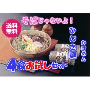 〔送料無料〕ひじき麺 ４食 かけつゆ付〔訳あり商品 お試しパック〕ミネラルたっぷり ヘルシー 海藻麺 長崎特産 お取り寄せ 長崎ちゃんぽんの老舗 麺のあらき