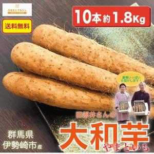 大和芋 ヤマトイモ 10本 約 1.8Kg 群馬...の商品画像