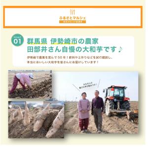 大和芋 ヤマトイモ 10本 約 1.8Kg 群...の詳細画像1