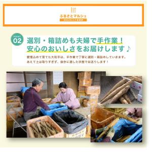 大和芋 ヤマトイモ 10本 約 1.8Kg 群...の詳細画像2