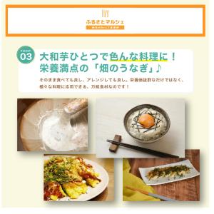 大和芋 ヤマトイモ 10本 約 1.8Kg 群...の詳細画像3