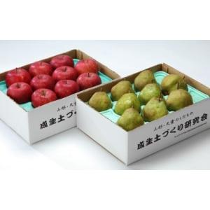 ふるさと納税 りんご 山形県 天童市 08-05-017　ラ・フランス&amp;サンふじ詰合せ約5kgセット