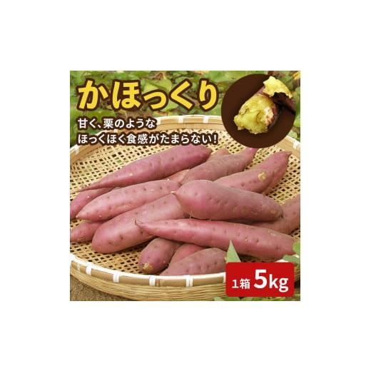 ふるさと納税 野菜類 サツマイモ 石川県 かほく市  先行予約 2025年収穫分 かほっくり 5kg...