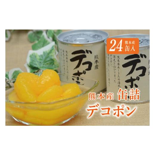 ふるさと納税 缶詰・瓶詰 くだもの 熊本県 芦北町 B29-26 デコポン缶詰(24缶)