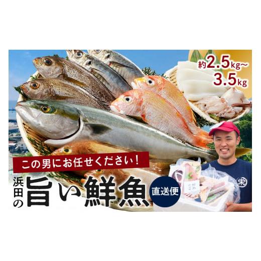 ふるさと納税 島根県 浜田市 この男に任せてみませんか〜浜田の旨い鮮魚直送便〜 海鮮 鮮魚 詰め合わ...