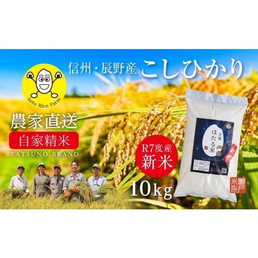 ふるさと納税 米 コシヒカリ 長野県 辰野町  R7新米 精米直後の新鮮なお米を農家から自宅へ直送 ...