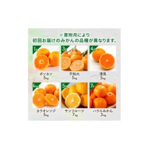 ふるさと納税 果物類 みかん 三重県 御浜町 ...の詳細画像3