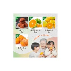 ふるさと納税 果物類 みかん 三重県 御浜町 ...の詳細画像4