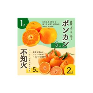 ふるさと納税 果物類 みかん 三重県 御浜町 ...の詳細画像5