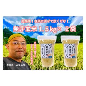 ふるさと納税 玄米 岐阜県 八百津町  10月1日発送開始 農家直送『山ちゃんの発芽玄米』１５００ｇ×２袋 (16)｜ふるさとチョイス