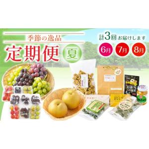 ふるさと納税 果物類 ぶどう 福岡県 みやま市 C2 3回定期便 季節の逸品 夏 特産品 定期 フルーツ 詰め合わせ すもも ぶどう デラウェア 梨