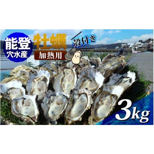 ふるさと納税 牡蠣 石川県 穴水町 鮮度抜群 獲れたてをお届け 能登穴水の牡蠣(殻付) 加熱用 3k...