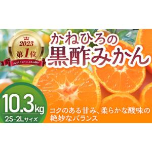 ふるさと納税 果物類 みかん 佐賀県 太良町 かねひろの黒酢みかん 2023年 第1位ふるさとチョイス みかん 部門 10.3kg 2S〜2L 新鮮 黒酢 アミノ酸 みかん 蜜柑 …｜ふるさとチョイス