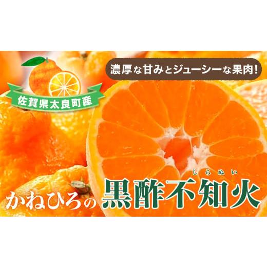 ふるさと納税 みかん・柑橘類 デコポン 佐賀県 太良町 令和7年3月下旬頃〜発送 かねひろの黒酢不...