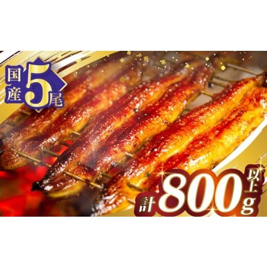 ふるさと納税 うなぎ 宮崎県 都農町 うなぎ蒲焼5尾(さんしょう・たれ付き)計800g以上 鰻 魚 ...