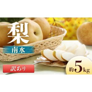 ふるさと納税 梨 長野県 豊丘村 2026年発...の詳細画像1