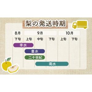 ふるさと納税 梨 長野県 豊丘村 2026年発...の詳細画像4