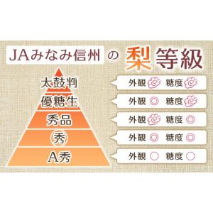 ふるさと納税 梨 長野県 豊丘村 2026年発...の詳細画像5