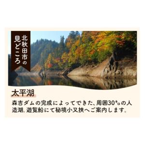 ふるさと納税 雑貨・日用品 秋田県 北秋田市 ...の詳細画像3