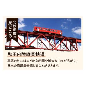 ふるさと納税 雑貨・日用品 秋田県 北秋田市 ...の詳細画像5